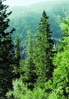  - Kattinson a nagyobb méretért