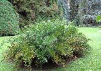  - Kattinson a nagyobb méretért