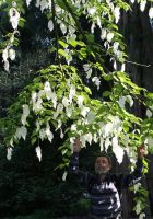  - Kattinson a nagyobb méretért