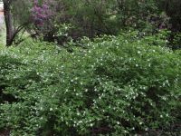  - Kattinson a nagyobb méretért