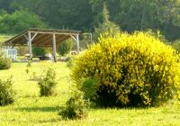  - Kattinson a nagyobb méretért