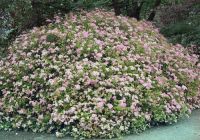  - Kattinson a nagyobb méretért