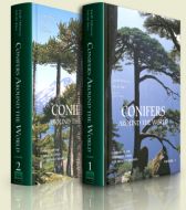 Conifers Around the World 1-2